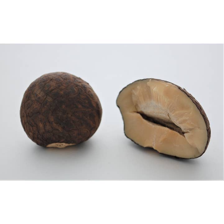 Semaki & Bird - Vente Colliers à pendentif - Collier de noix de Tagua Poisson3