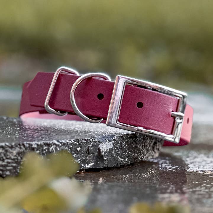 Signature Biothane Dog Collars for wholesale by Liv Like Busby