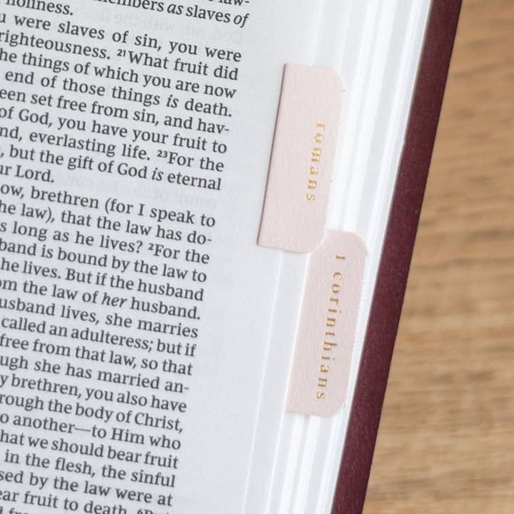 Church Notes Co. - Wholesale Sticker - Pink and Cream Bible Tabs