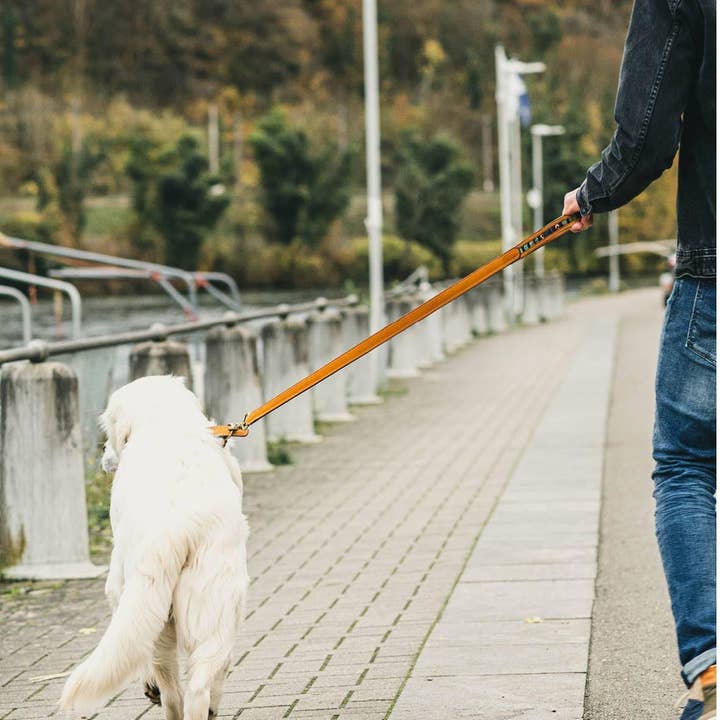 Hunch Clothes - Wholesale Pet Leash - Dog - Camlo • Dog leach • Natural