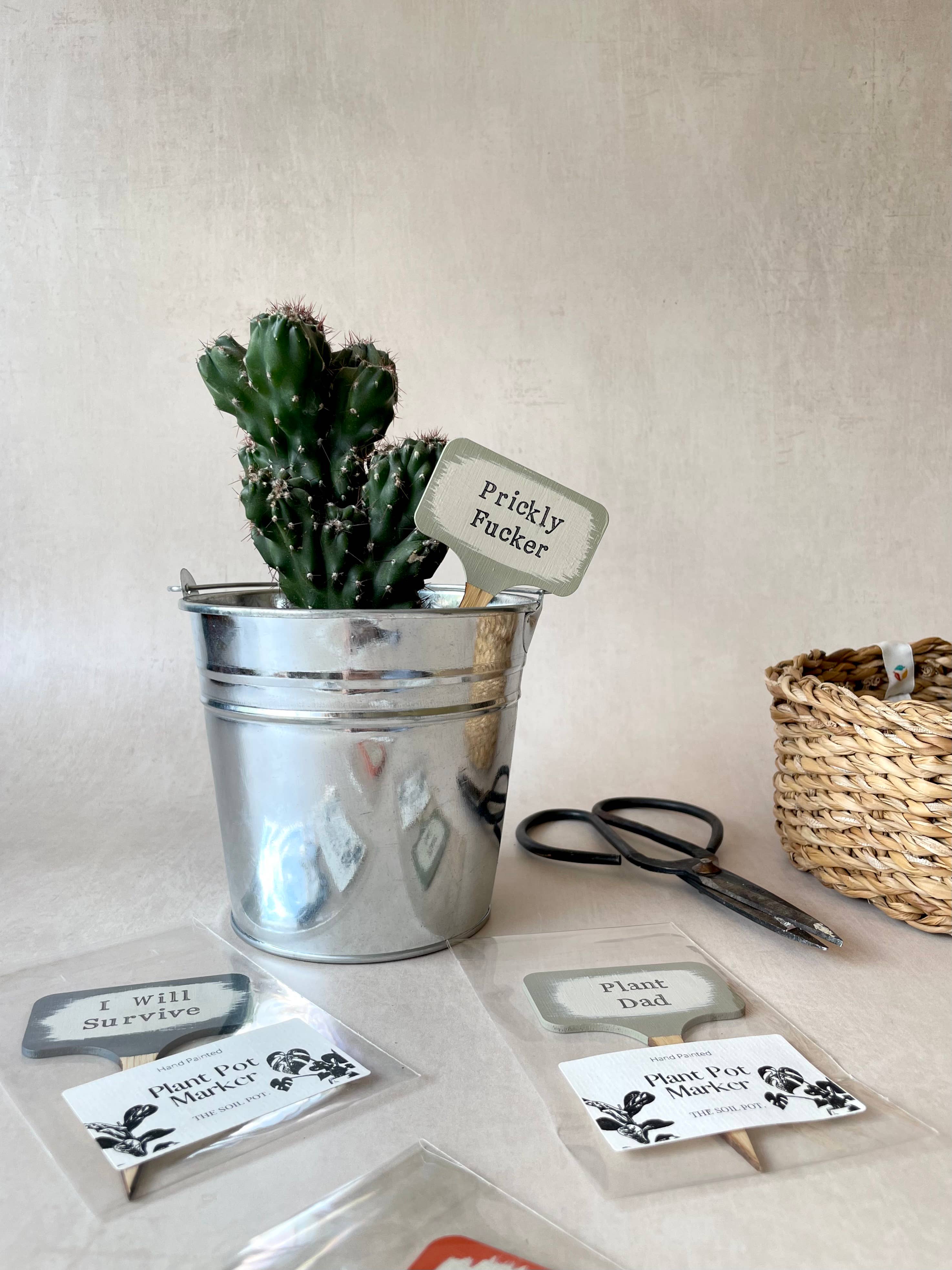 The Soil Pot – wholesale Garden/lawn stake – Hand Painted Plant Pot Markers, Funny plant pun gifts4