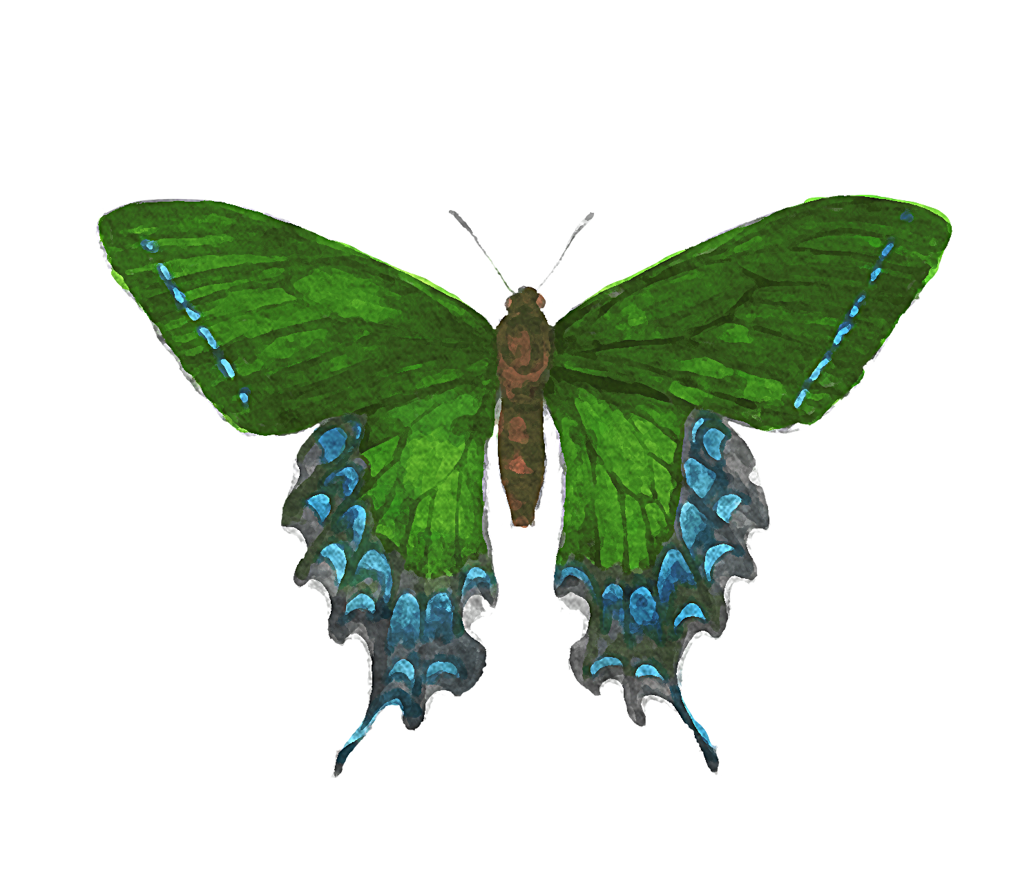 Wholesale Emerald Voyager Watercolor Butterfly Stickers for your store ...