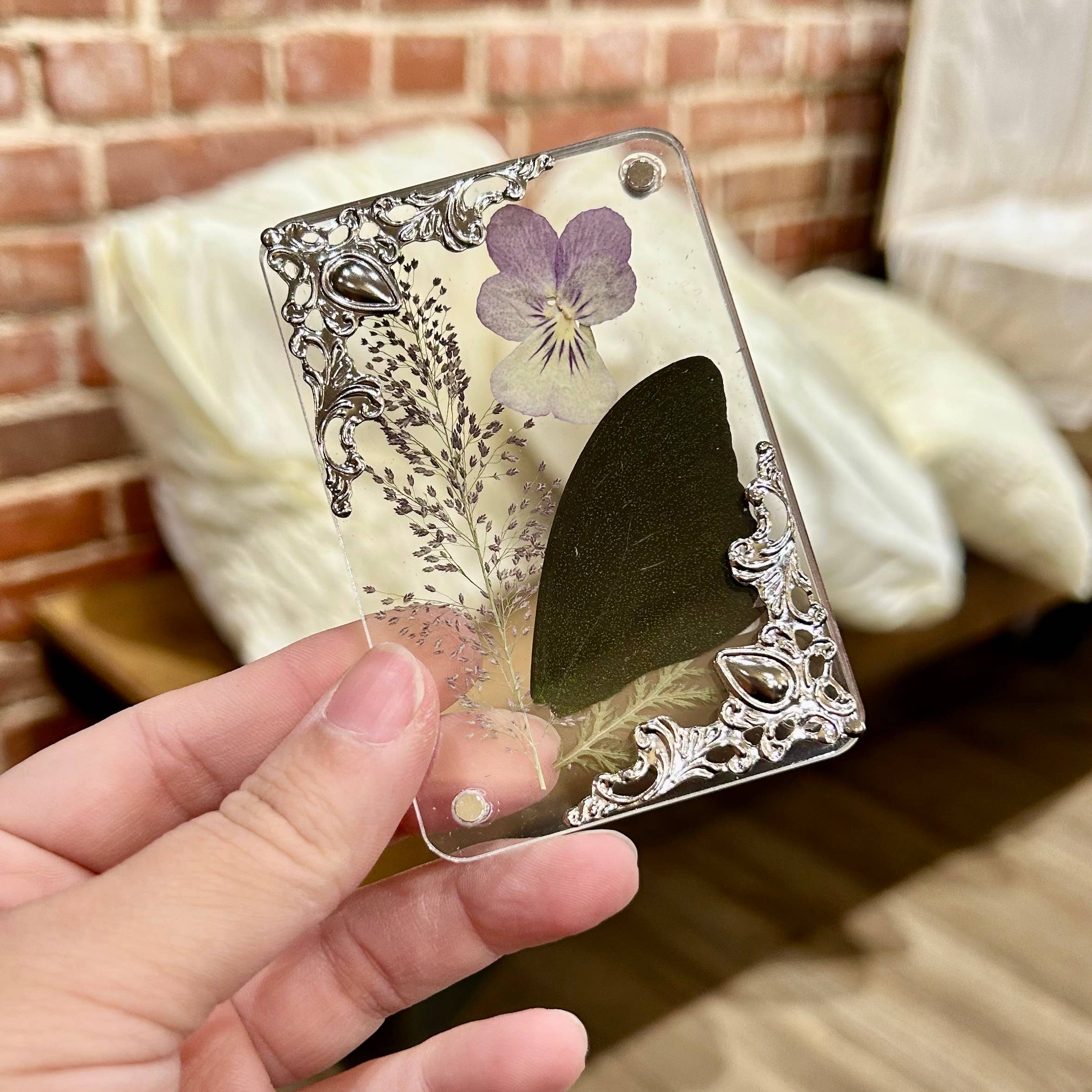 Mz. Jones’ Curio, Inc. - Wholesale Magnet - Butterfly Wing Magnets4