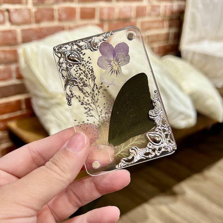 Mz. Jones’ Curio, Inc. - Wholesale Magnet - Butterfly Wing Magnets4