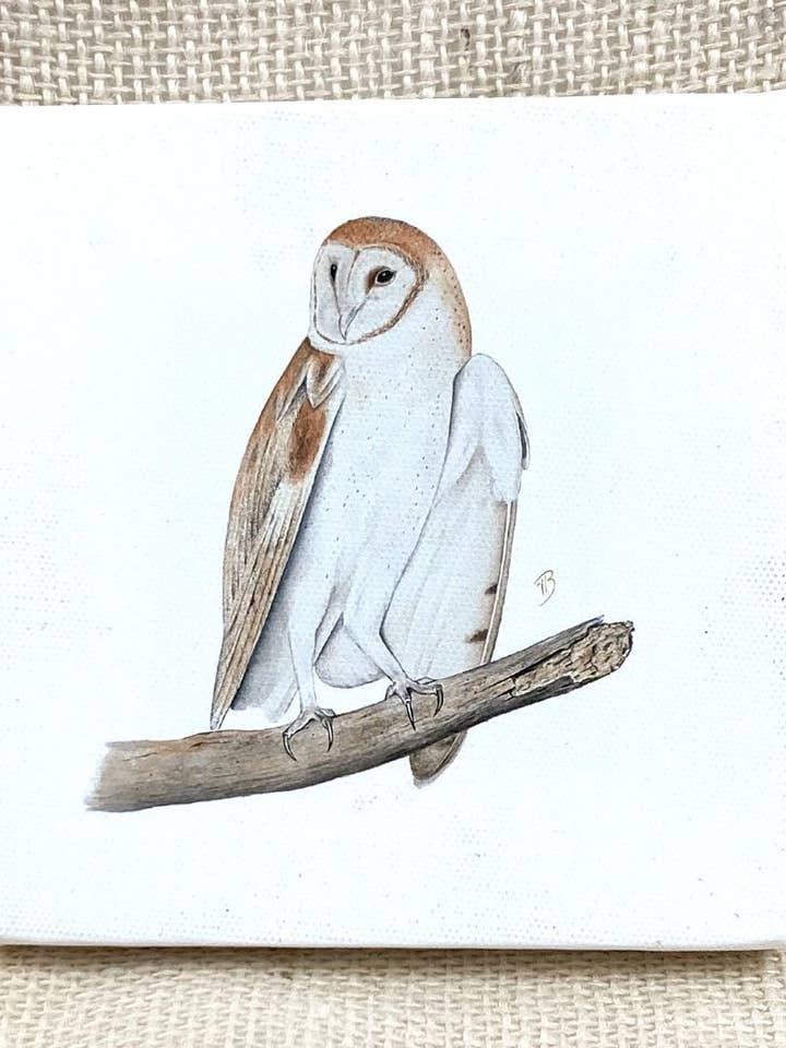 Mocho Barn Mini Canvas, 5x5, Impressão de arquivo, Bird Print por atacado de Streetlightbirds