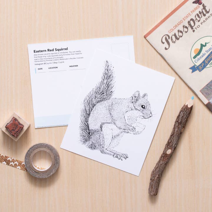 Cikorie Egern Kunst for engroshandel hos Coy Ink Studio