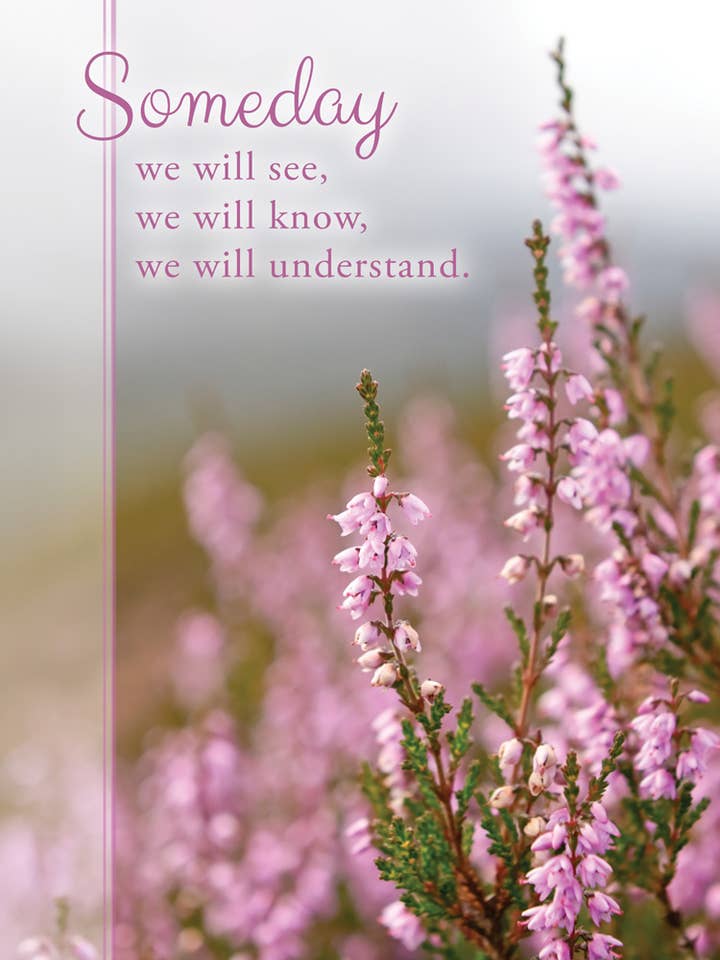 Boxed Cards - Encouragement - Day by Day for wholesale by Warner Press