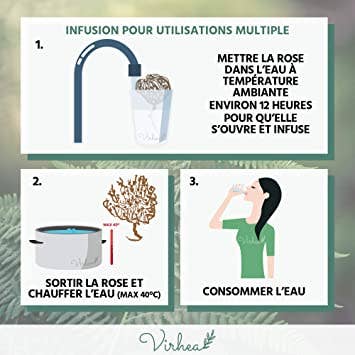 Virhea – Großhandel Gesundheits-/Entgiftungstee – Rose von Jericho im Großpack – Chajarat Mariam1