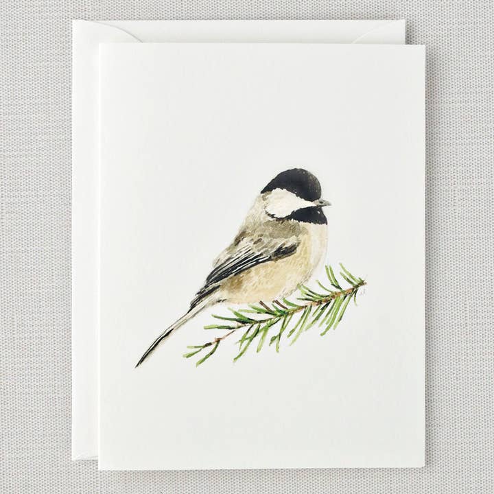 emily lex studio - Wholesale Stationery/Notecard Set - evergreen notecard set