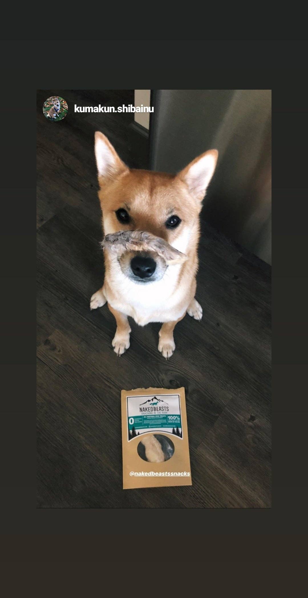 Naked Beasts, Inc. - Wholesale Pet Treats - Dog - Rabbit Feet9