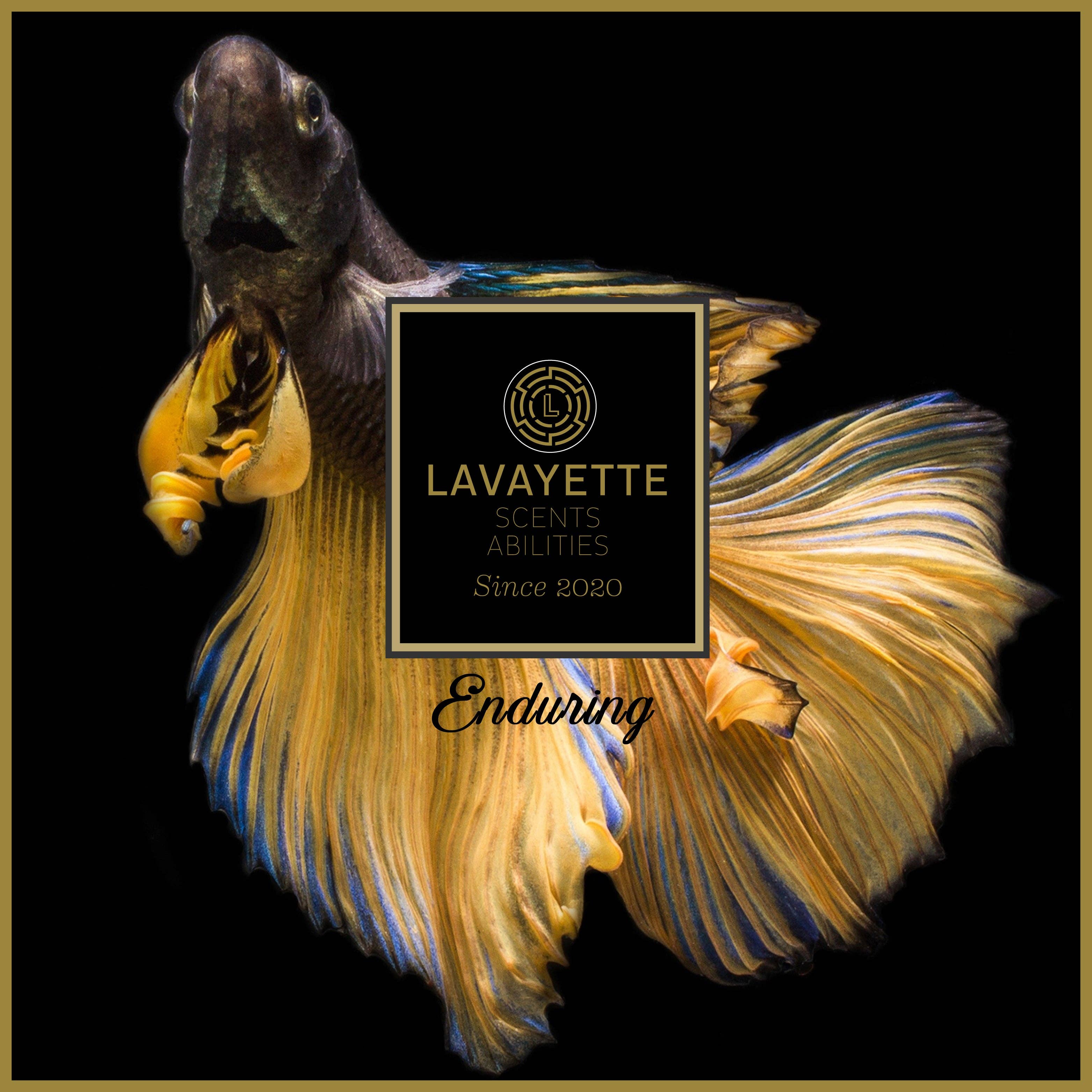 Lavayette - Wholesale Fragrance Set - Lavayette Premium Wash Perfume Tasting Pack 9x25ml7