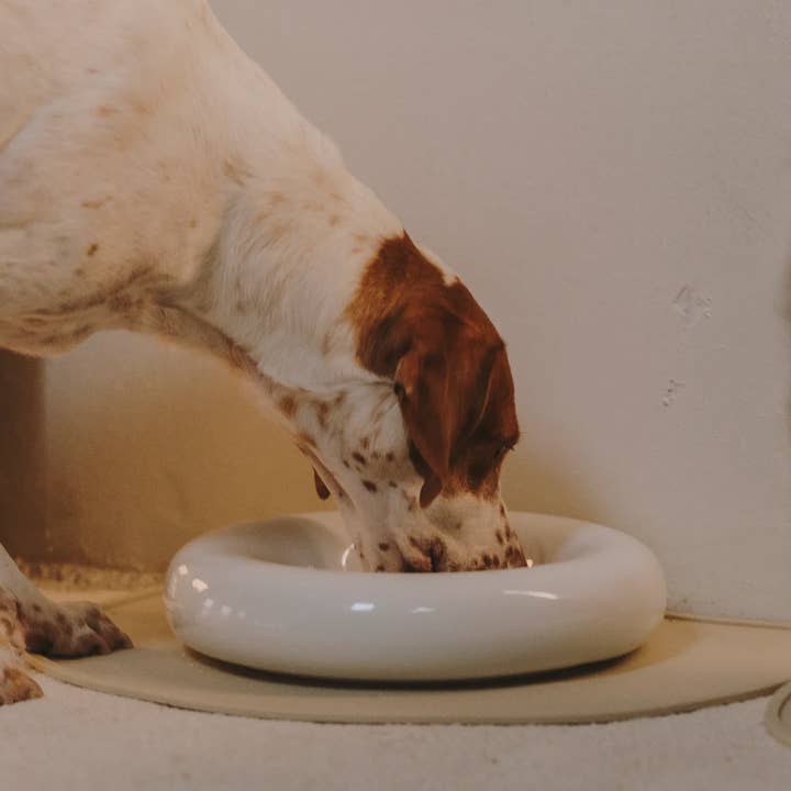 HotDog Pets - Wholesale Pet Bowl - Cat/Dog - White ceramic dog feeder13