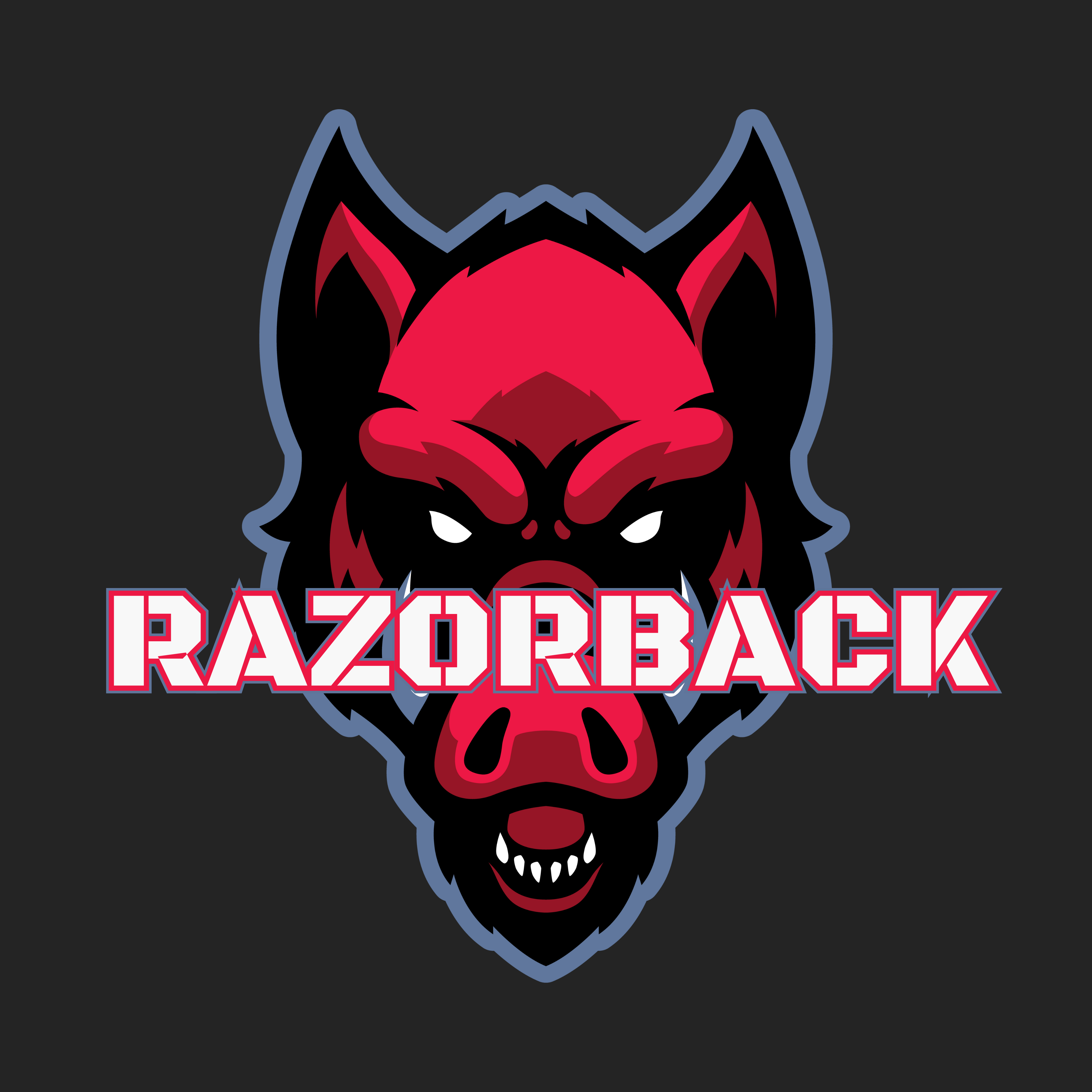 CSM - Wholesale Iced Tea - Loaded Tea Mixes (32oz Size)31