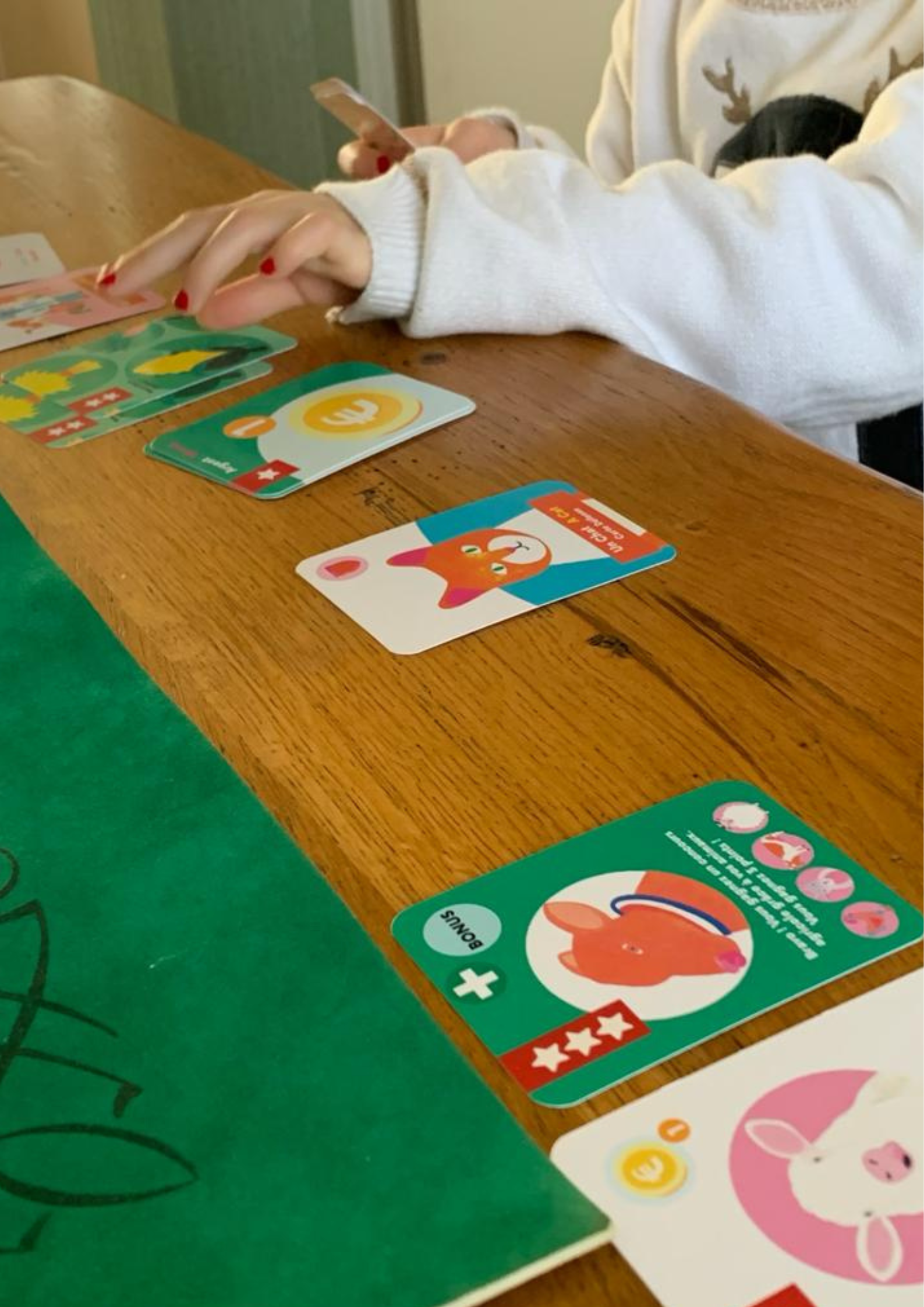 Babybird - Wholesale Card Game - Handmade educational game “Farm” Made in Alsace2