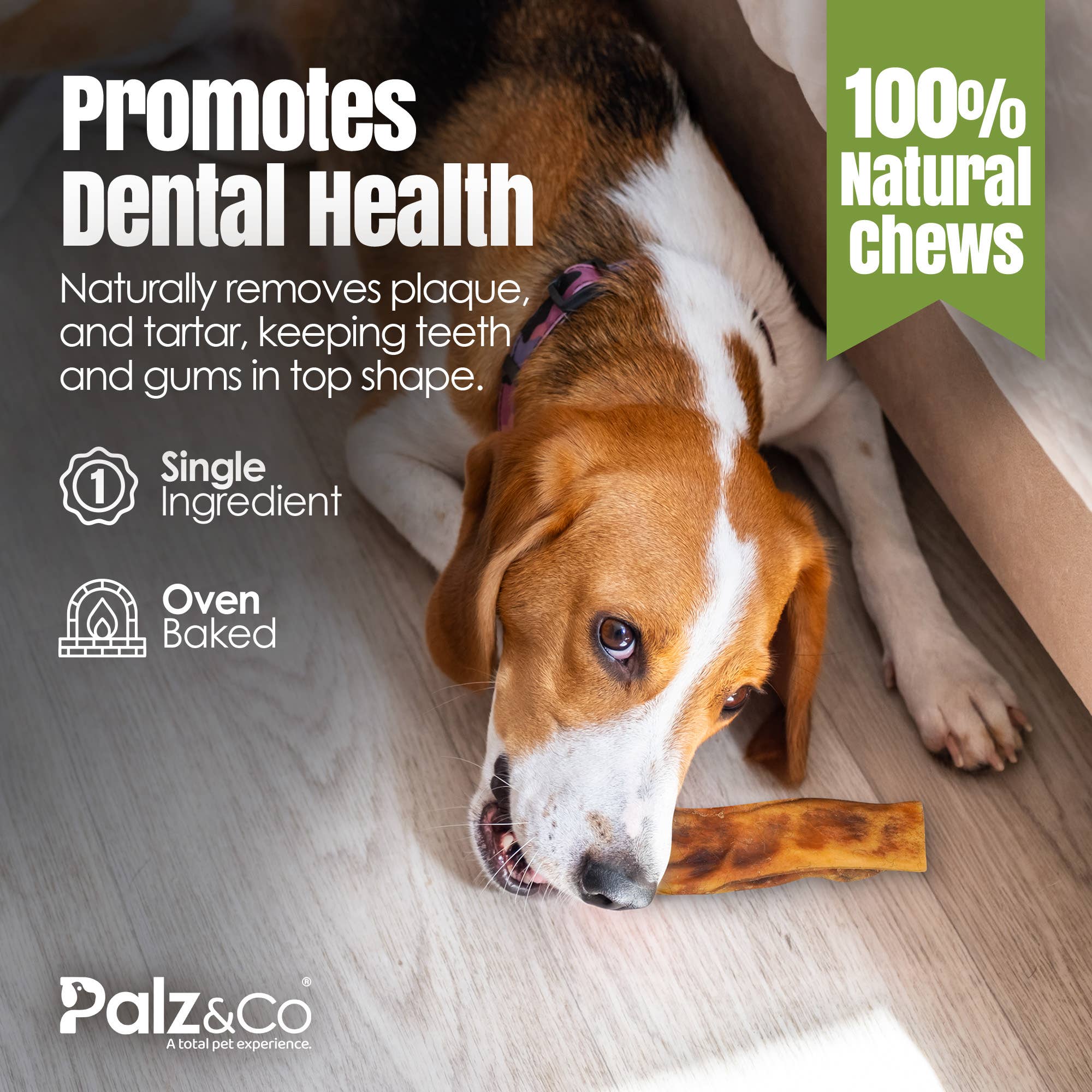 Palz&Co - Wholesale Pet Treats - Dog - Moodog Beef Cheek Bars - Pack of 66