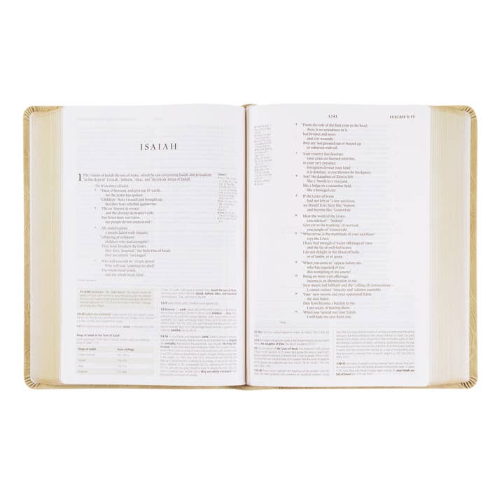 Hosanna Revival - Vente Livre sur la religion - Bible d'étude ESV : thème Sonora4