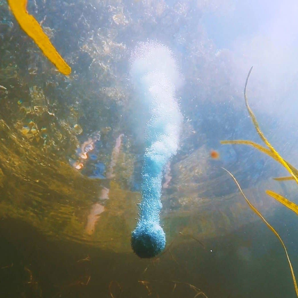 BaitCloud – Großhandel Sportliches Zubehör – BaitCloud Anglerlockstoff-Display mit 12 Röhrchen4