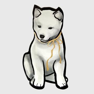 RICE&INK – wholesale Vardagliga hälsningskort – Guld foiled band die-cut Shiba Inu kort, Sumi bläck Zen0