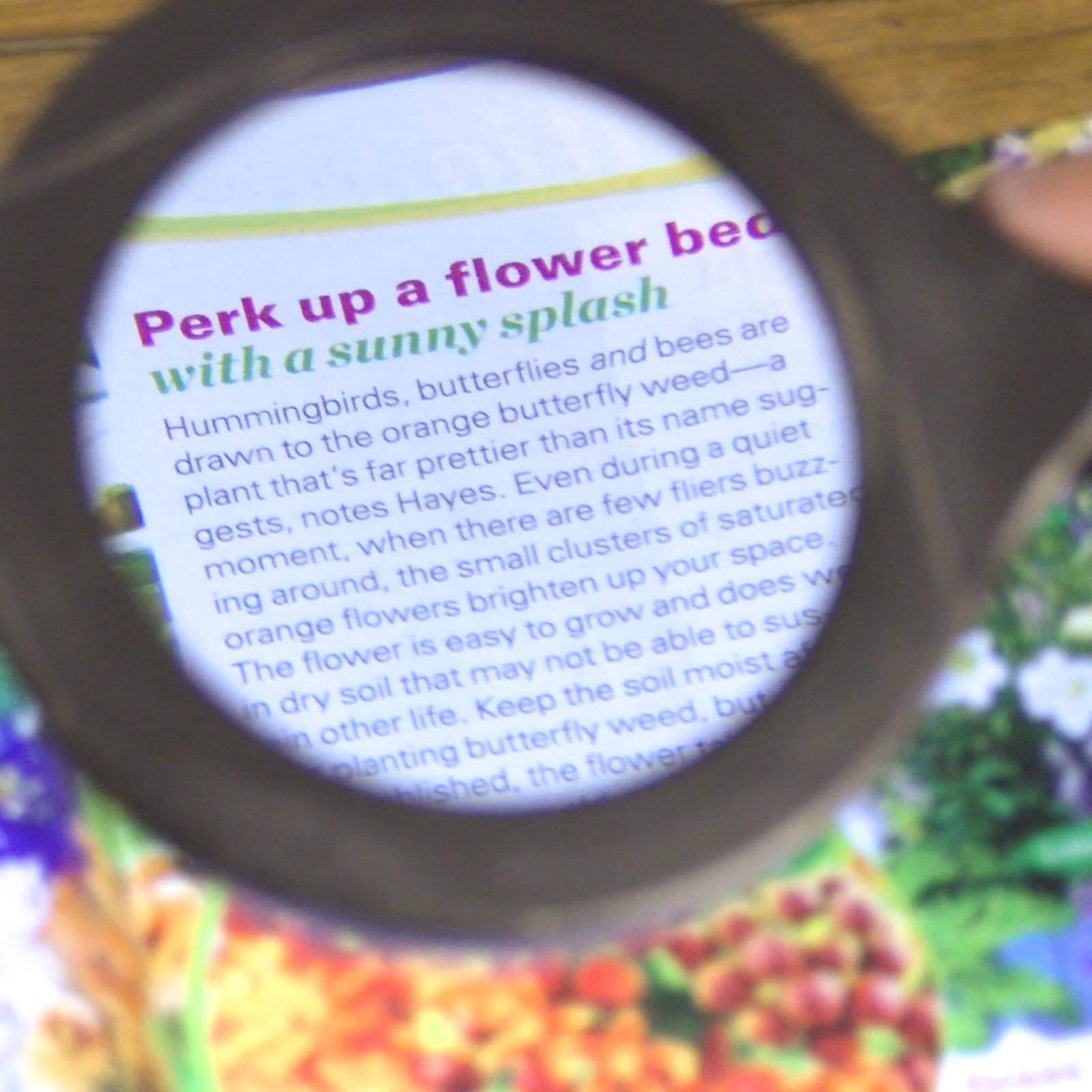 LitezAll - Wholesale Magnifying Glass - LitezAll COB LED Lighted Hand Held Magnifying Glass7