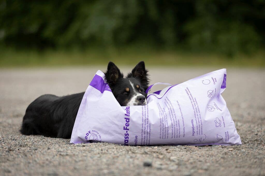 Finest Petfoods - Vente Nourriture – chien - Nourriture sèche naturelle pour chien Buddy à l'agneau élevé à l'herbe 2 kg2