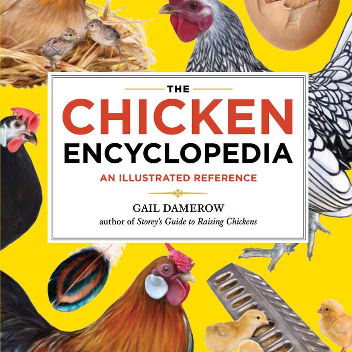 the Chicken Encyclopedia for wholesale by Hachette Book Group