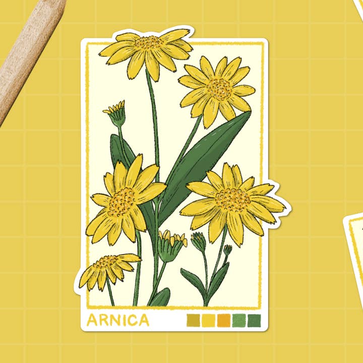 Autocollant Imperméable Fleur Sauvage Arnica pour la vente par Red + Blue Stories