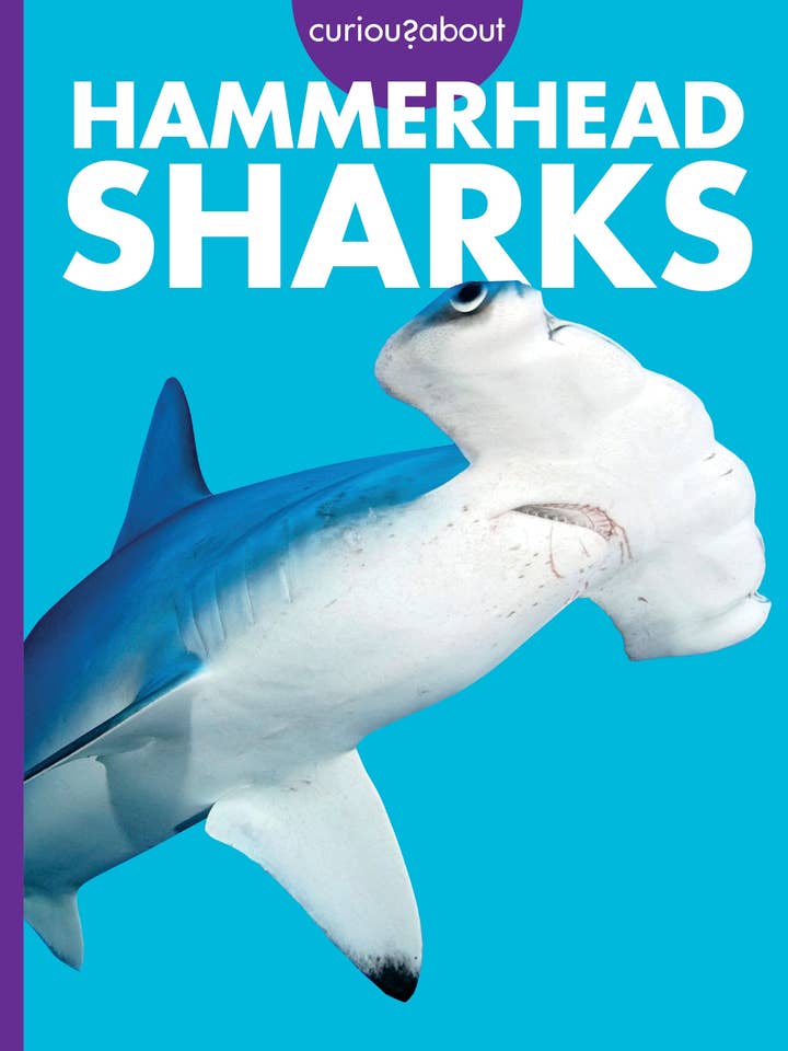 Curious about Hammerhead Sharks for wholesale by Amicus Publishing