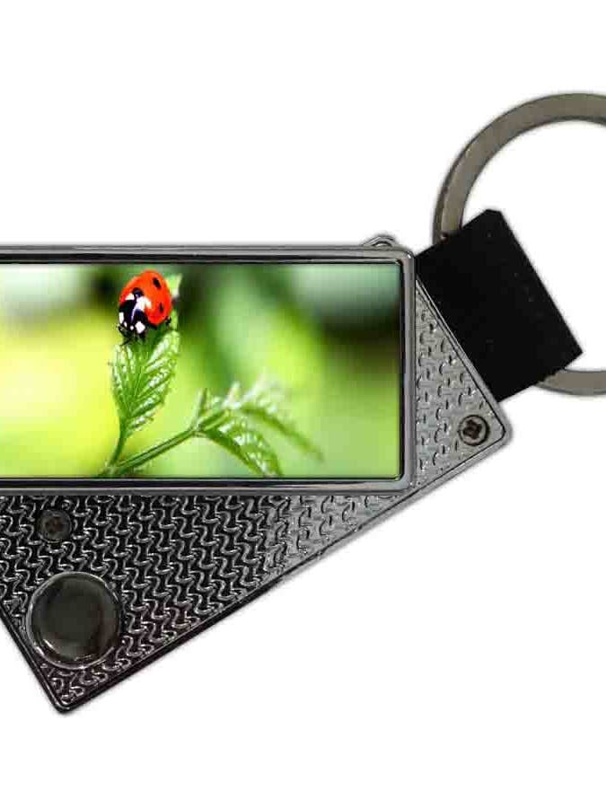 USB Lighter with Ladybug Keychain for wholesale by DB GROUP SRL