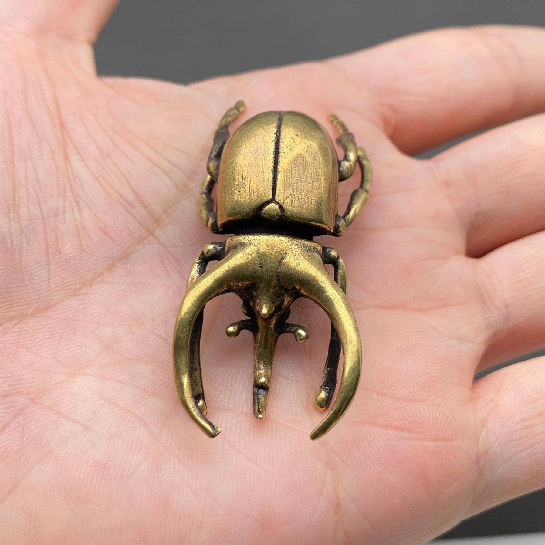Mio Queena - Wholesale Decorative figurine - Brass Rhinoceros Beetle Crafts Desktop Ornaments Decoration4