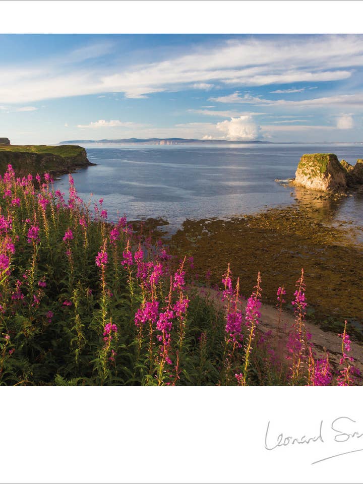 Blank Card - Pentland Firth for wholesale by Leonard Smith