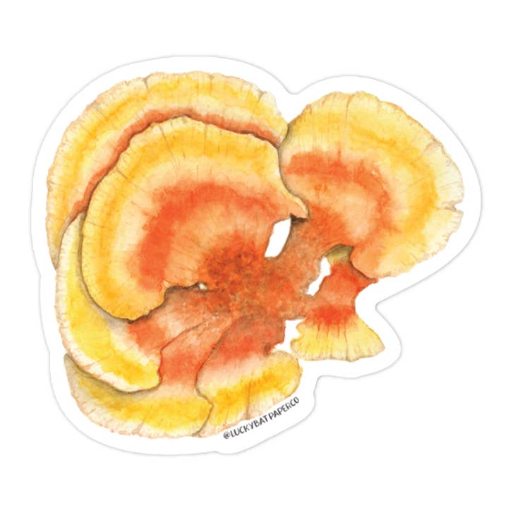 Adesivo de Cogumelos de Frango da Madeiras por atacado de Lucky Bat Paper Co.