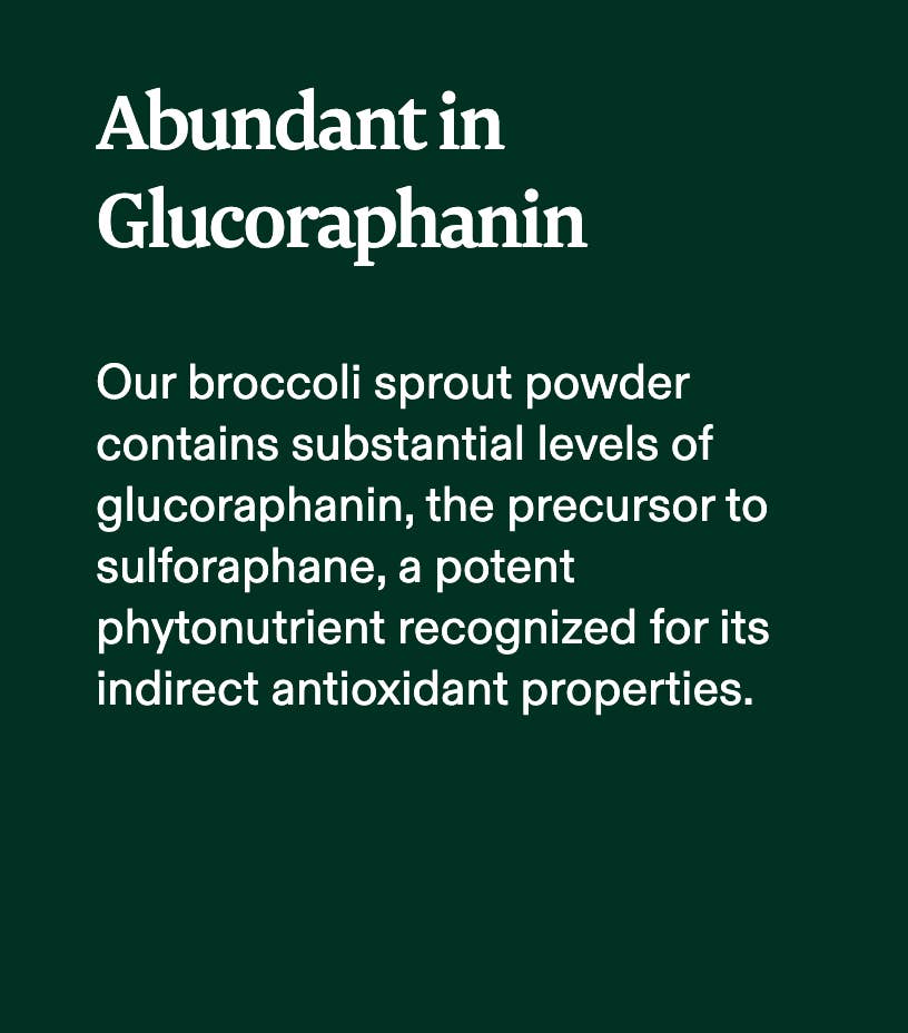 FoodNerd Inc. - Wholesale Protein/Superfood Powder - Organic Broccoli Sprout Powder