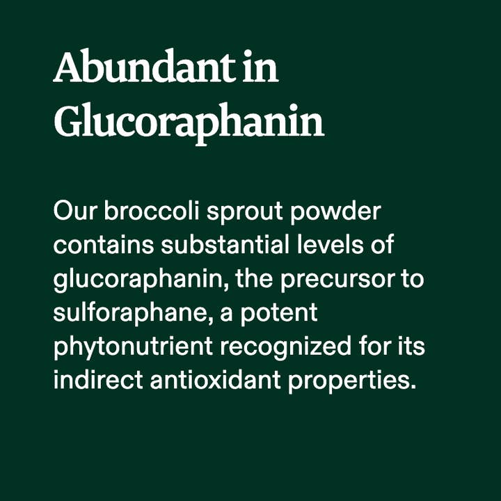 Organic Broccoli Sprout Powder and other Purchase Wholesale broccoli sprouts. Free Returns & Net 60 Terms on Faire trending on Faire.