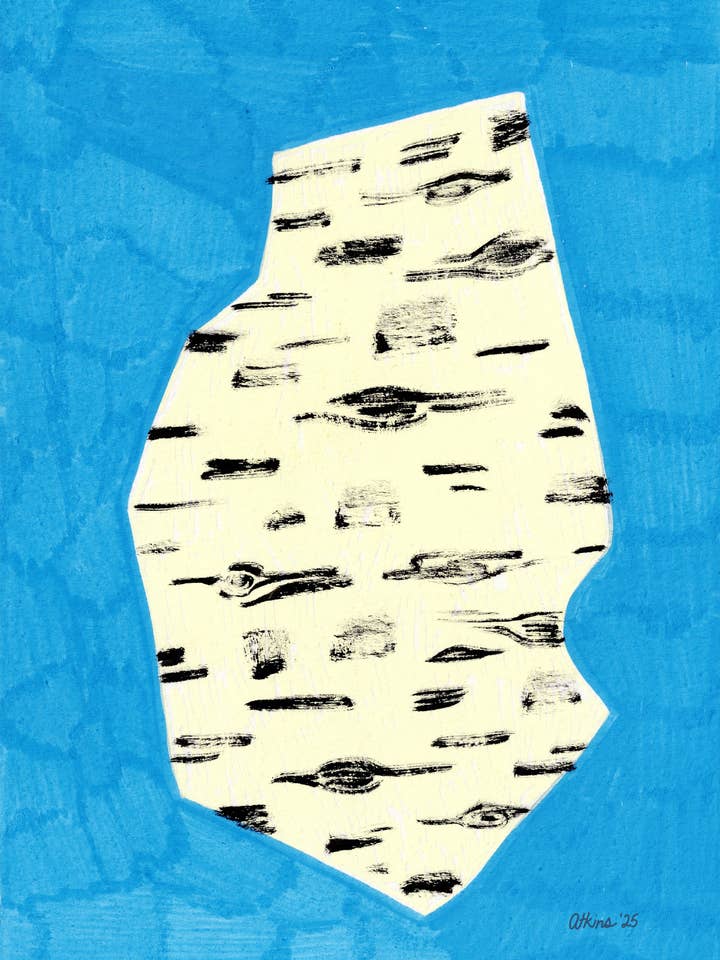 5x7 Berken op Blauw gesigneerde print voor wholesale door Amanda Laurel Atkins Art + Illustration