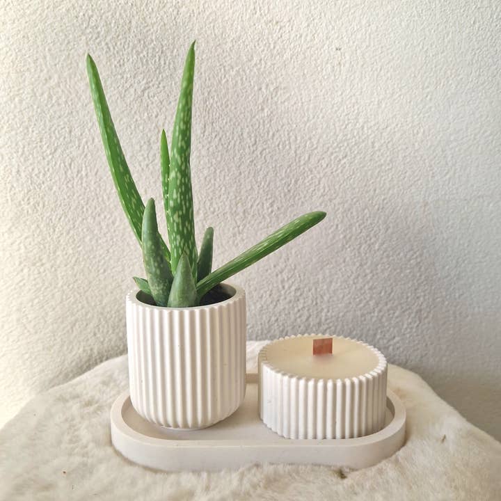 Japandi heminredningsset | Japandi växt | Japandi ljus | jap för wholesale av LUTUM Creations