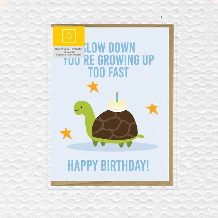 IMPAPER – wholesale Birthday card – Slow Down Turtle Birthday Greeting Card1