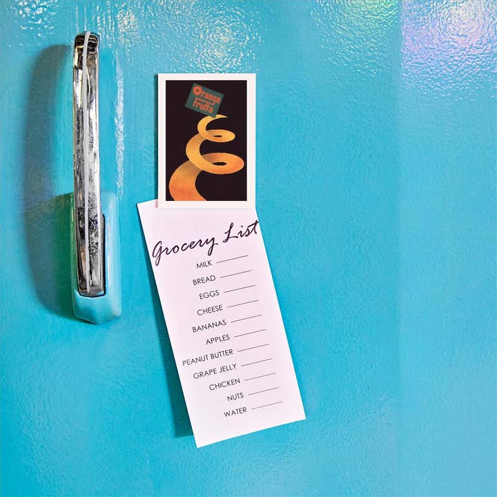 Found Image Press - Wholesale Magnet - Magnet PO-411 Orange Frutta1