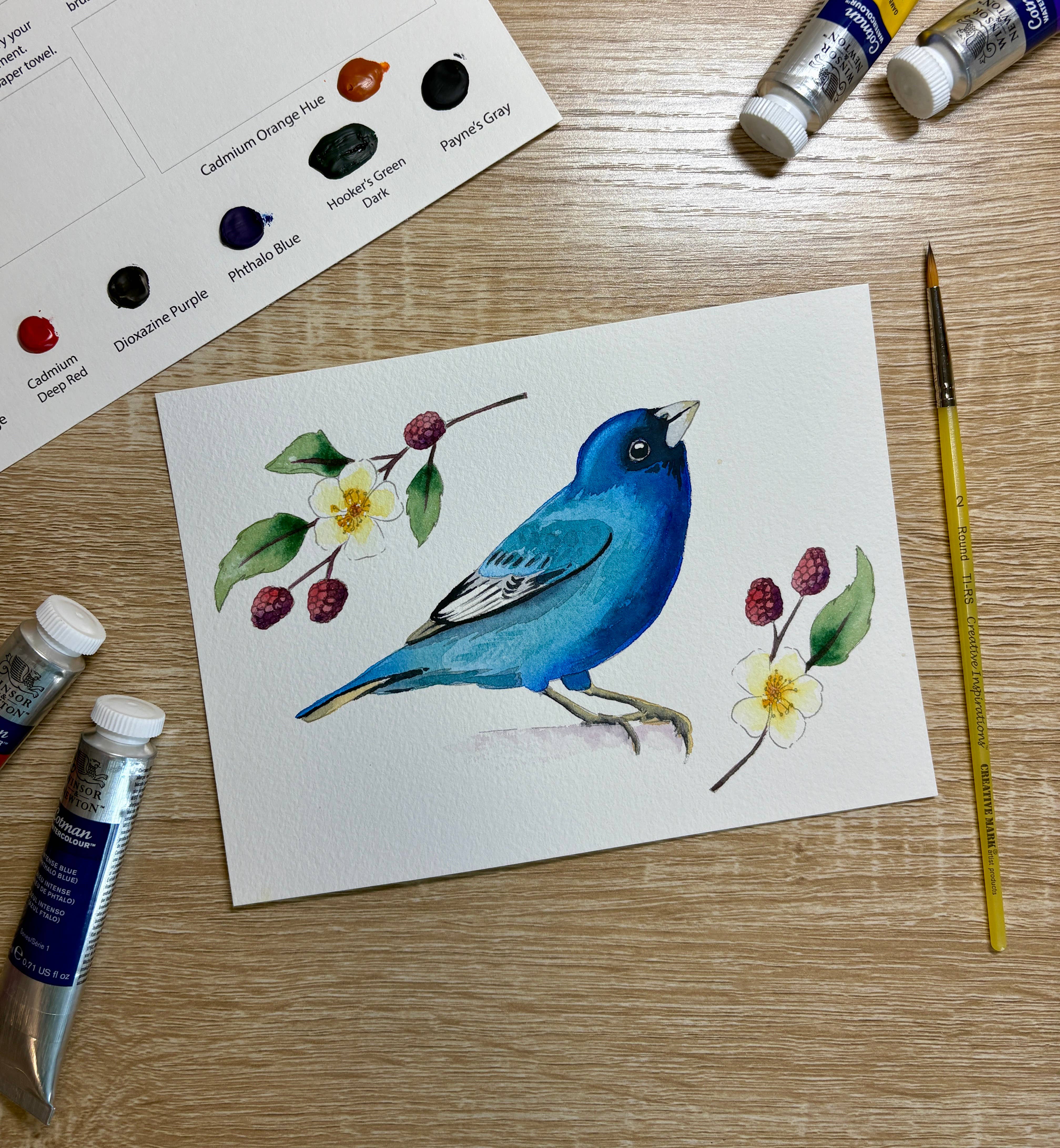 Emily Marie Watercolors - Wholesale DIY Craft Kit - Watercolor Painting Kit: Backyard Birds5