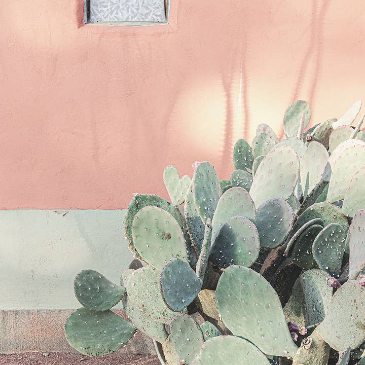 Impression photographique avec Adobe et cactus de Marfa Texas pour la vente par Ann Hudec Photography