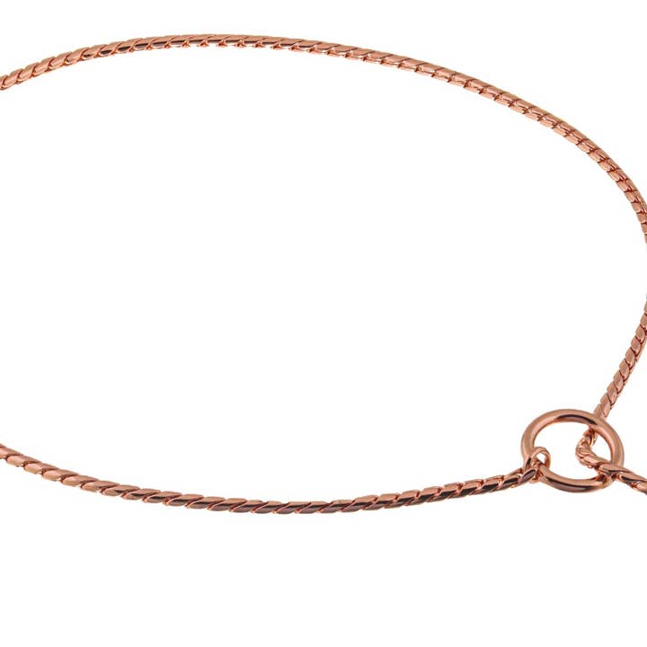 Alvalley – wholesale Halsband - Hund – Slip snake kedjehalsband för hund17