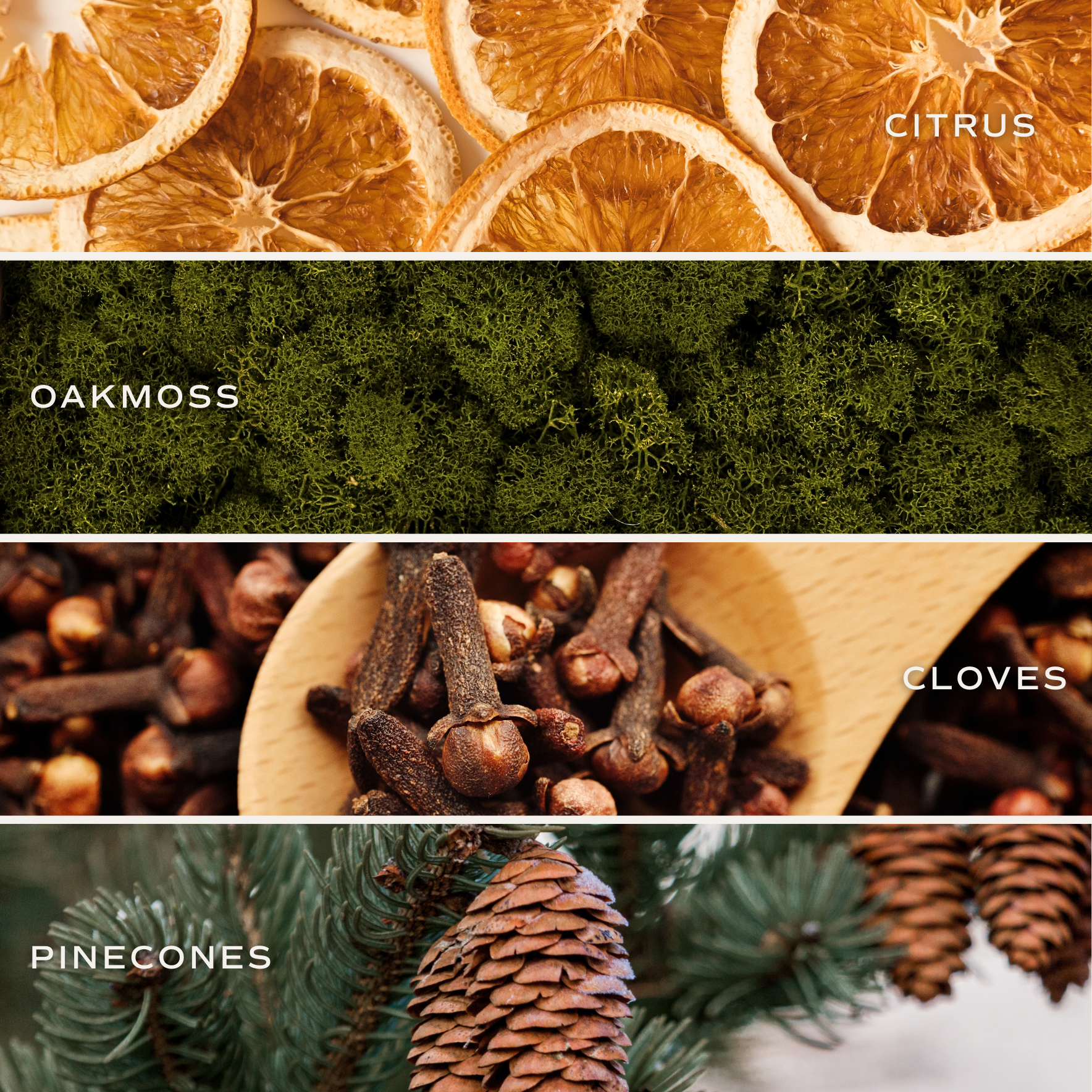 Sweet Water Decor - Vente Bougie en bocal - Bougie de soja 9 oz Holiday - Décorations et cadeaux de Noël2