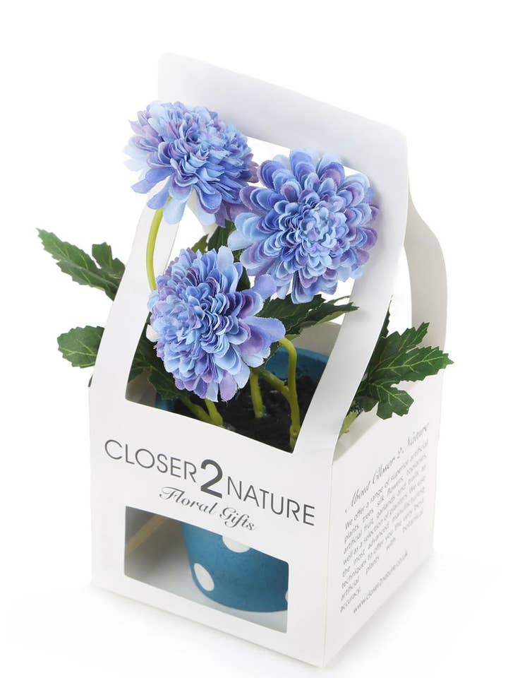 Artificial 19cm Blue Chrysanthemum Plant with Gift Box for wholesale by Closer2Nature