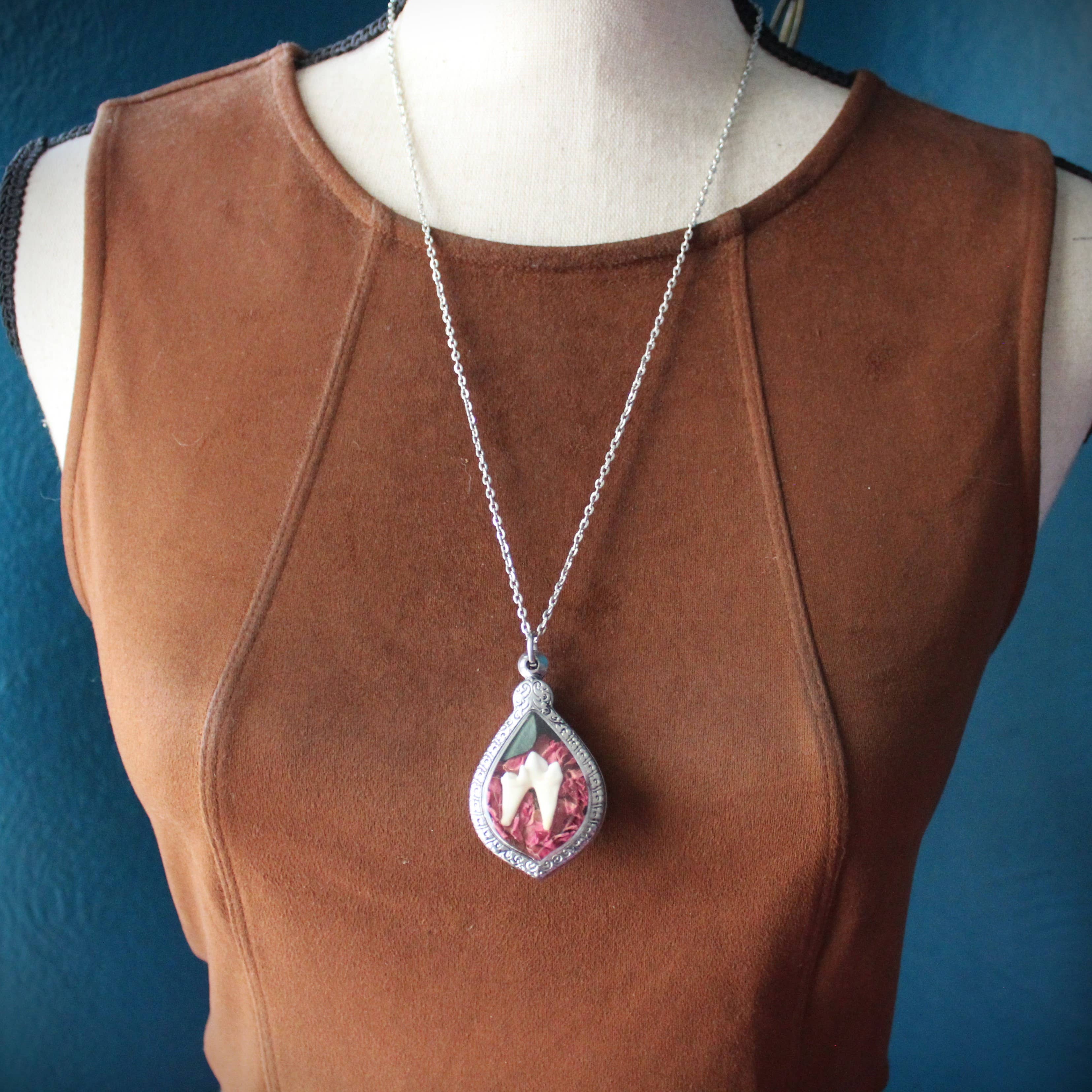 Kitty Bomb Curios - Wholesale Pendant/Charm Necklace - Bone Lockets oddity reliquary tooth window jewelry necklace10