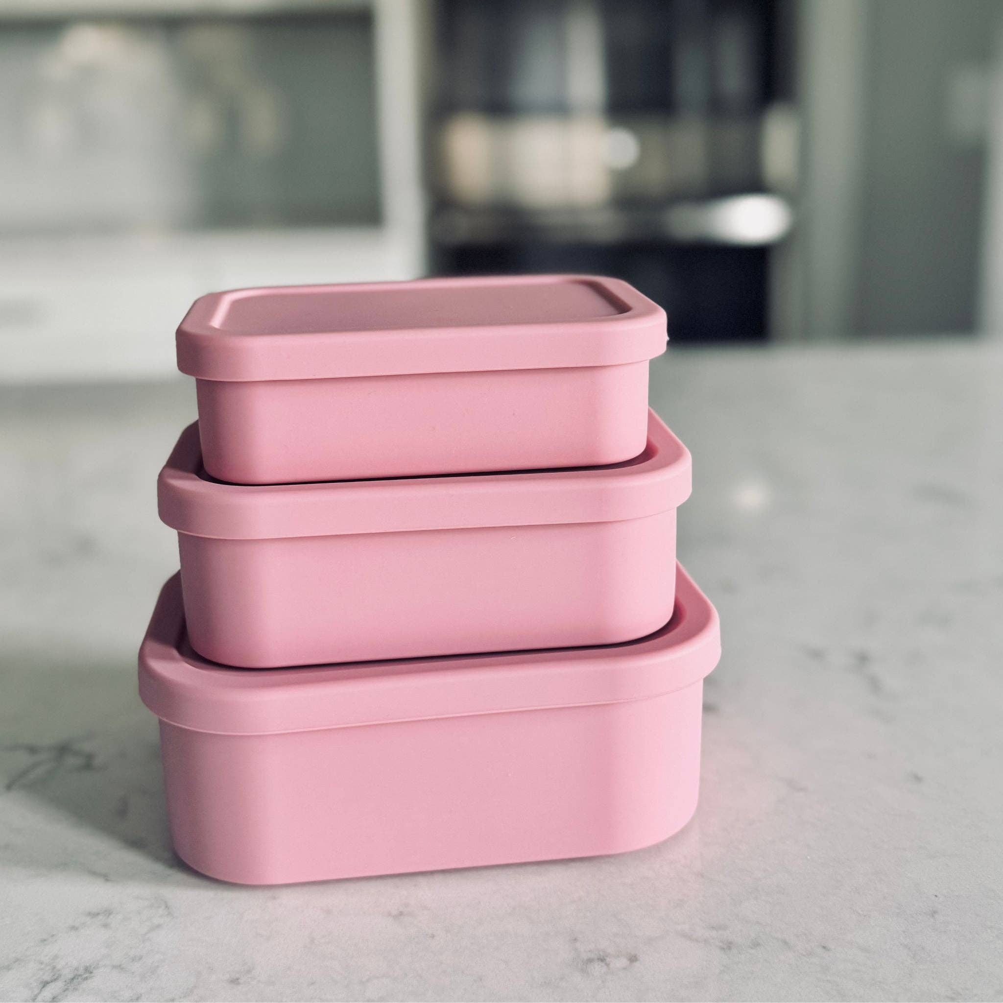 Dreamroo - Wholesale Food Storage Container - Rectangle Storage Containers | 3-Piece Nesting Set2