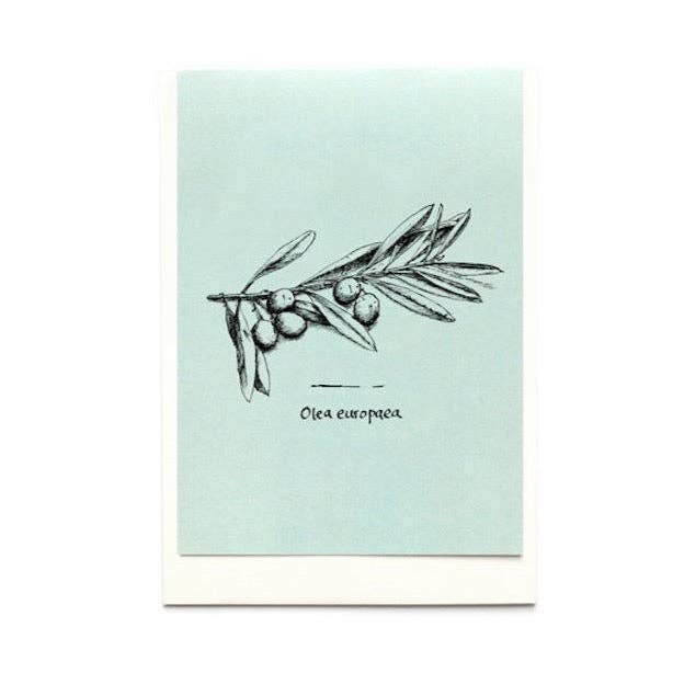 Tavolinas - Wholesale Everyday Greeting Card - Greeting/menu card olive, mint green, slate, ochre, ice blue, dusky pink or lavender6