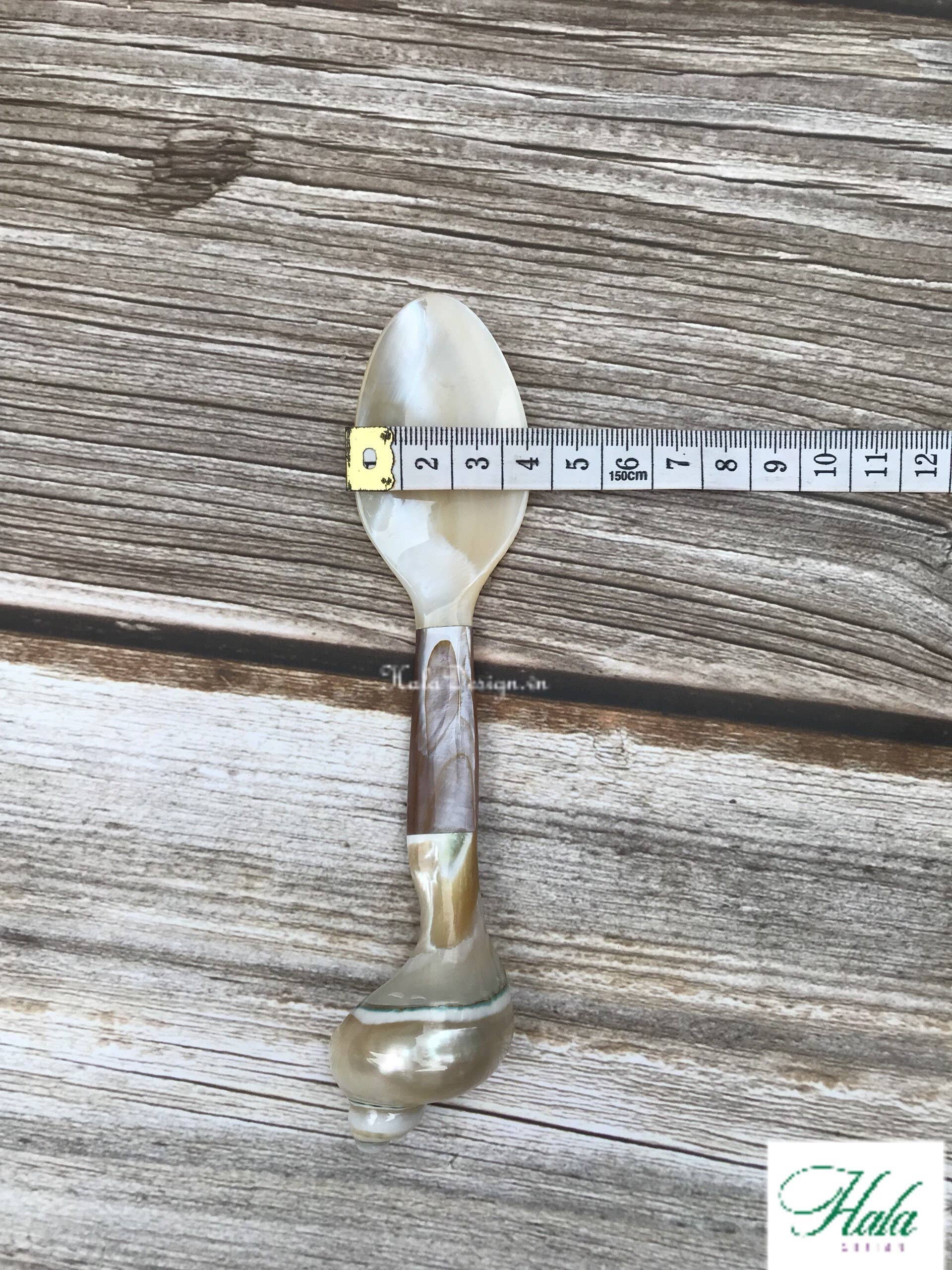 Hala Design - Wholesale Kitchen Spoon - Custom Engraved Oyster and Snail Spoon Length = 16 cm8