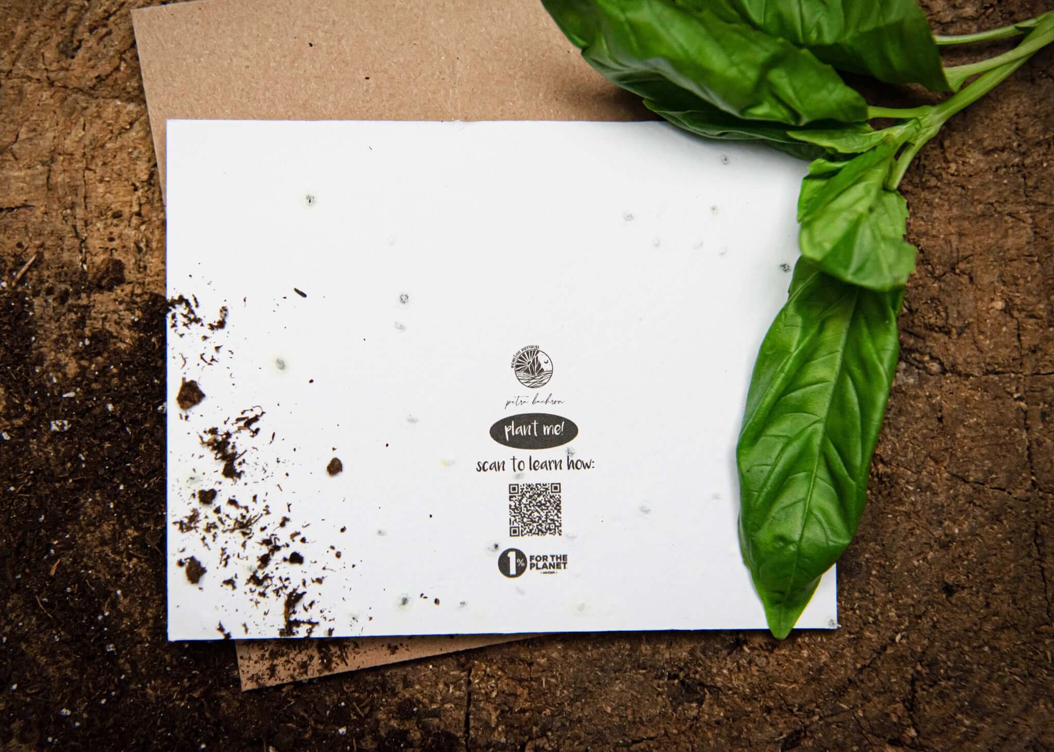 Mountain Mornings - Wholesale Bedanktkaartje - Dank je voor alles, mama; Plantbare zaad wenskaart1