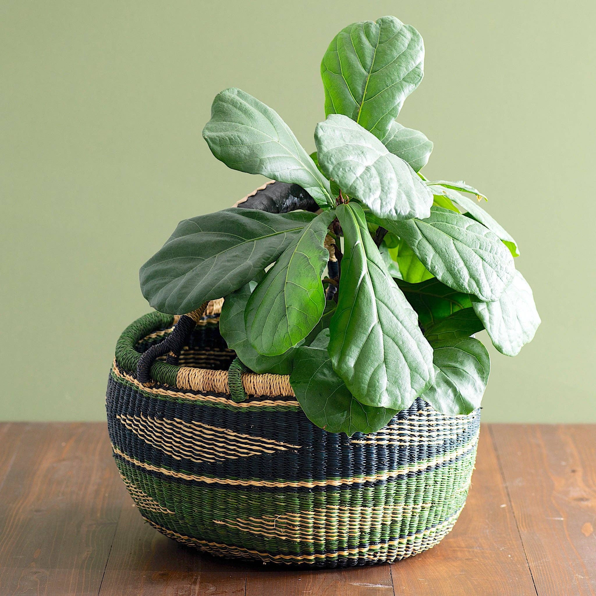 Ti-a Woven Goods - Wholesale Basket - Round Storage Basket18