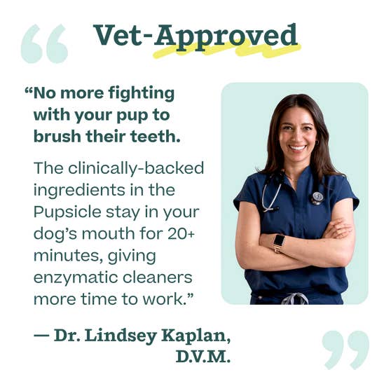 Woof - Wholesale Pet Treats - Dog - Pupsicle Mix- Doggy Dental5