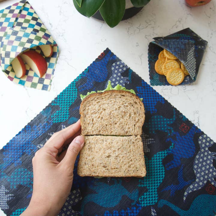 Dinosaur for wholesale by HanaBee